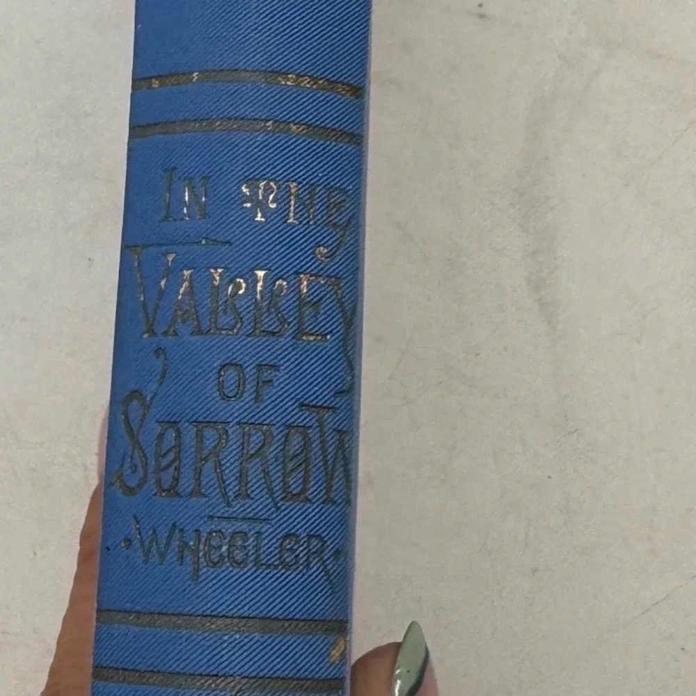 Rays of Light in the Valley of Sorrow‎ Henry Wheeler 1898 Religious Antique Book